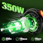 Isinwheel Foldable Electric Scooter for Adults