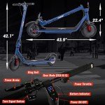 Phantomgogo Foldable Electric Scooter for Adults
