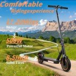 500W Electric Scooter, 18-21 Mile Range, 20MPH