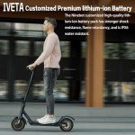 600W Foldable Electric Scooter with 10" Tires
