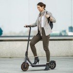 10" Adult Electric Scooter - 350W Motor, Foldable