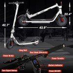Phantomgogo Foldable Electric Scooter for Commuters