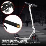 Phantomgogo Foldable Electric Scooter for Commuters