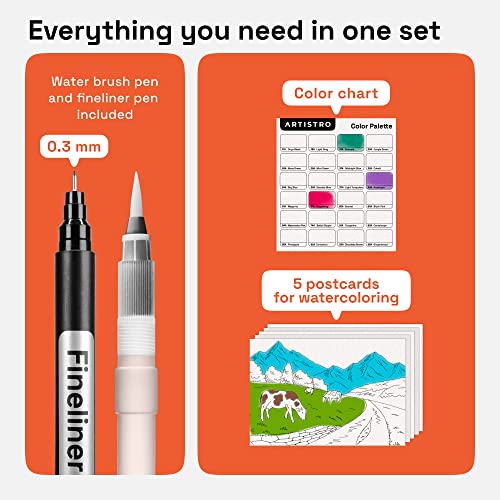 ARTISTRO 24 Watercolor Brush Markers - Pros & Beginners