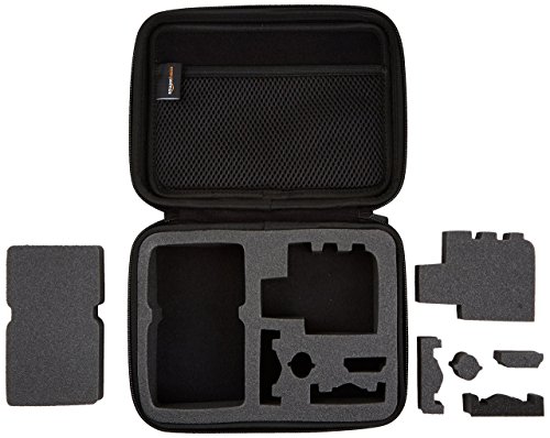 Compact Carrying Case for GoPro and Accessories