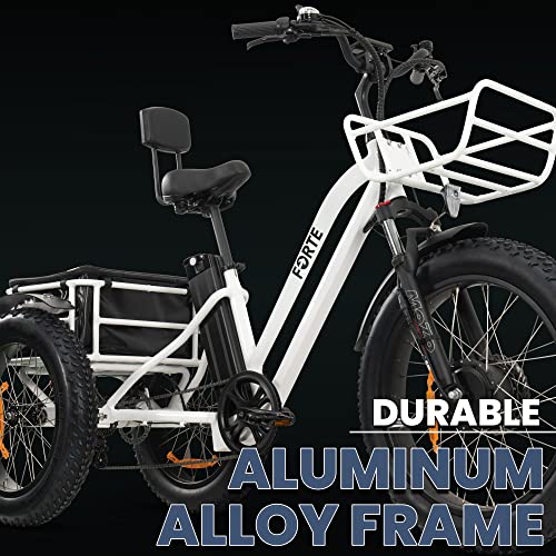MALISA Electric Trike for Adults, Premium 3-Wheel eBike