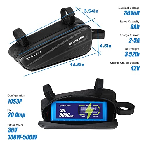 HAILONG 36V Electric Bike Lithium Battery