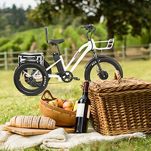 MALISA Electric Trike for Adults, Premium 3-Wheel eBike
