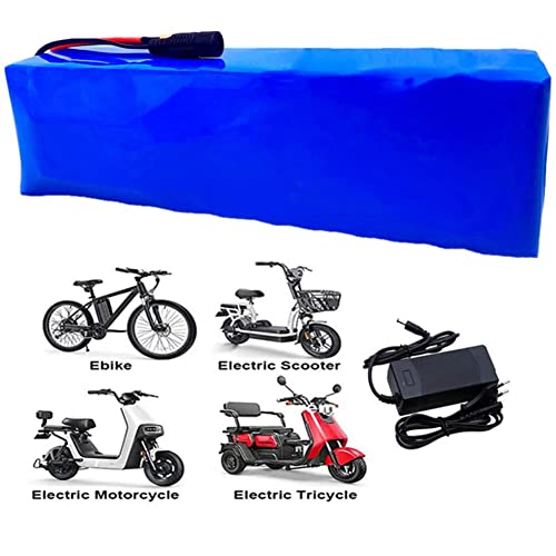 Tiahf 48V 28Ah E-Bike Battery, Xt60 Plug + Charger