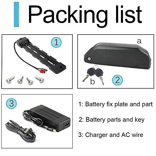 48V Bike Battery for 1000W 750W 500W Ebike
