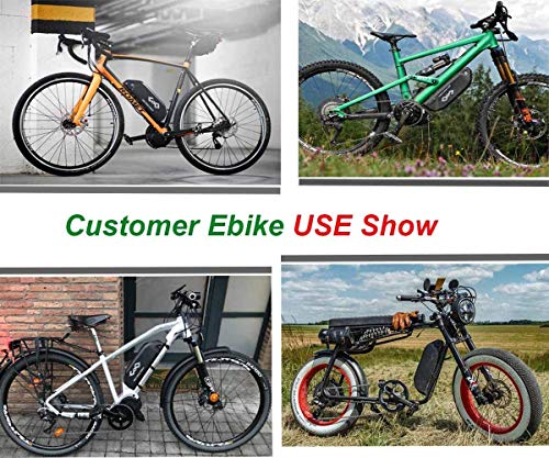 48V Bike Battery for 1000W 750W 500W Ebike