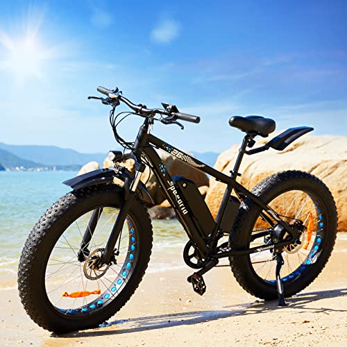 Electric Fat Tire Snow eBike 500W 26