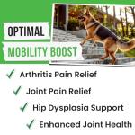 Hemp Chews: Relief for Dog's Hip and Joint Pain