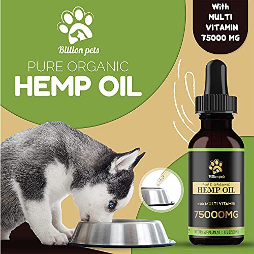 Billion Pets - Hemp Oil for Dogs and Cats - Omega Fatty Acids - Hip and Joint Support and Skin Health