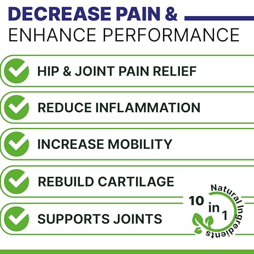 Hemp Chews: Relief for Dog's Hip and Joint Pain