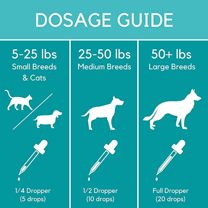Organically Grown PB Pets Hemp Oil for Pets