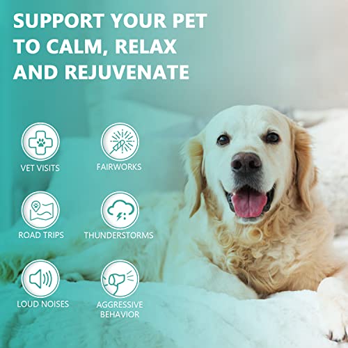 CBD Hemp Oil for Pets - Calming Maximum Strength