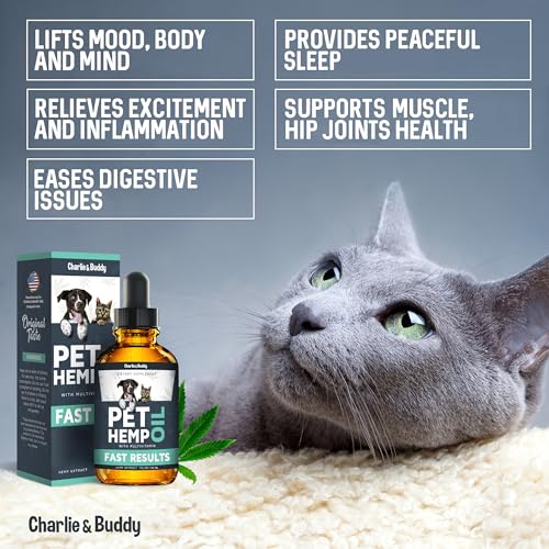 Natural Hemp Oil for Dogs and Cats