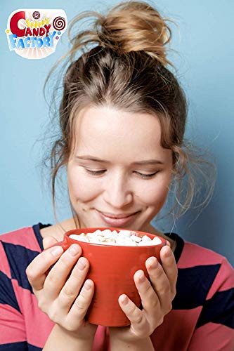 Sarah's Vanilla Mini Marshmallows for Hot Cocoa (2.5 Lbs)