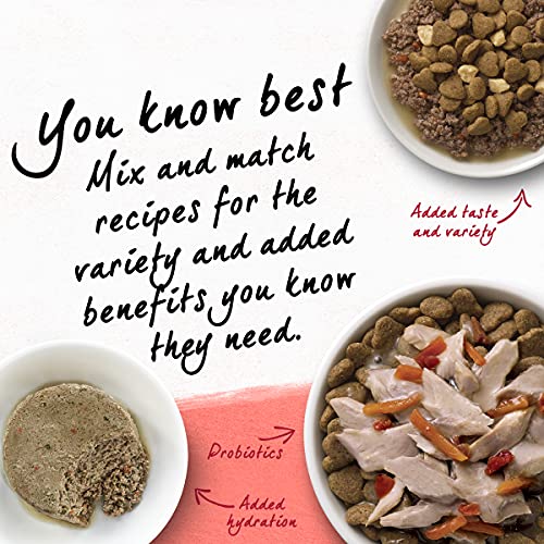 Natural Salmon Cat Food - 3lbs