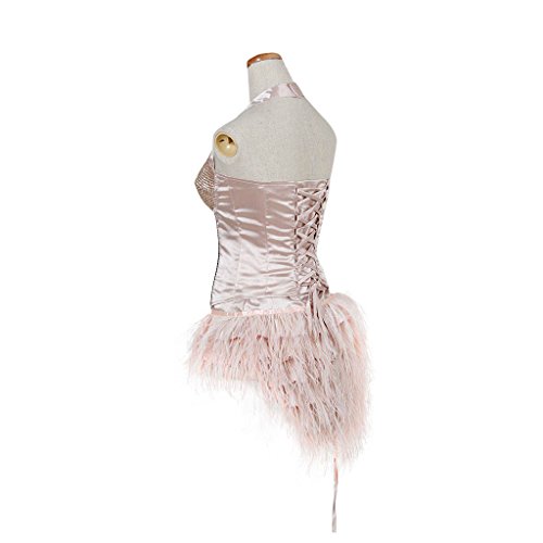 1791's Lady Sexy Halloween Cosplay Burlesque Dress in Pink