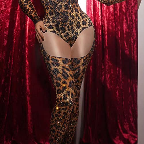 Rhinestone Jumpsuit Vintage Burlesque Leotard Retro Dress