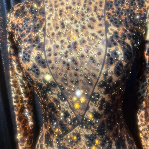 Rhinestone Jumpsuit Vintage Burlesque Leotard Retro Dress