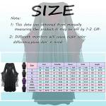 Vintage Plus Size Witch Costume for Women