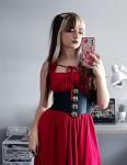 Scarlet Darkness Steampunk Pirate Corset Belt Retro Cincher