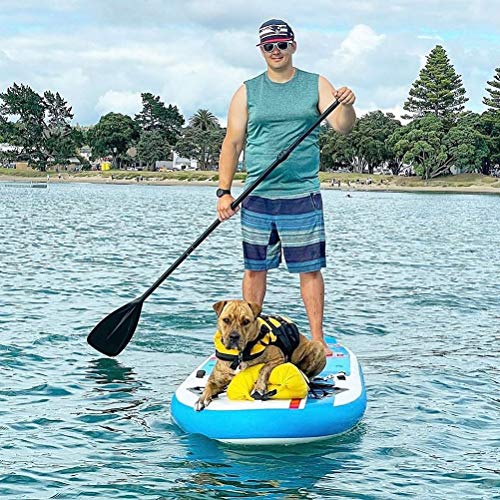 Karltion 3-Piece Adjustable SUP Paddle - Turquoise