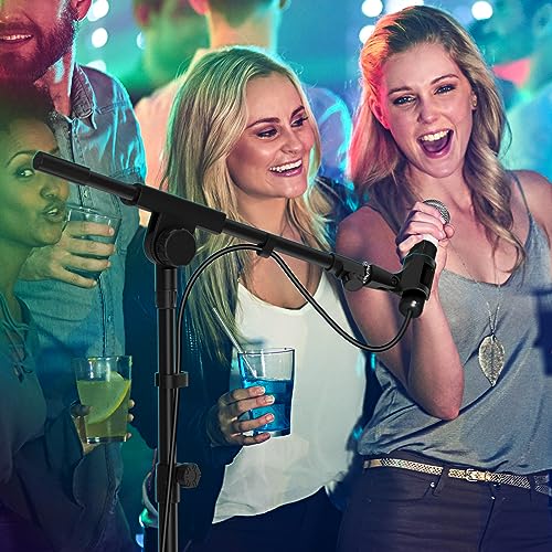 Adjustable Collapsible Karaoke Mic Stand with 2 Holders