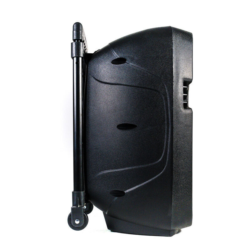 10" DJ Karaoke Speaker Set - Bluetooth, LED Lights, 2 Wireless Mics