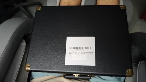 ALPOWL Portable Bluetooth Karaoke Machine with 2 Microphones