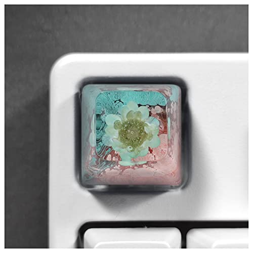 Pearlead SA R4 Backlit Keycap for Mechanical Keyboards