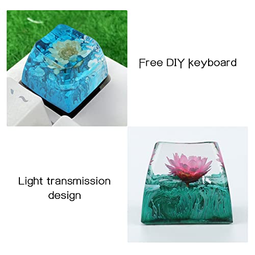Pearlead SA R4 Backlit Keycap for Mechanical Keyboards