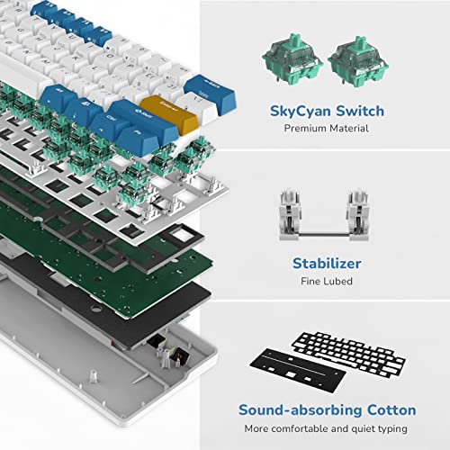 RK61 Plus Wireless Mechanical Keyboard, RGB Gaming 60%