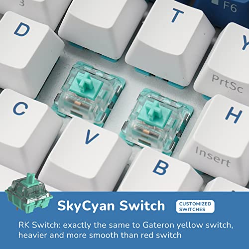RK61 Plus Wireless Mechanical Keyboard, RGB Gaming 60%