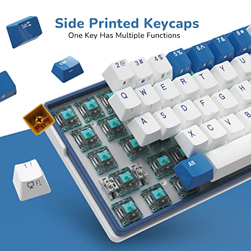 RK61 Plus Wireless Mechanical Keyboard, RGB Gaming 60%