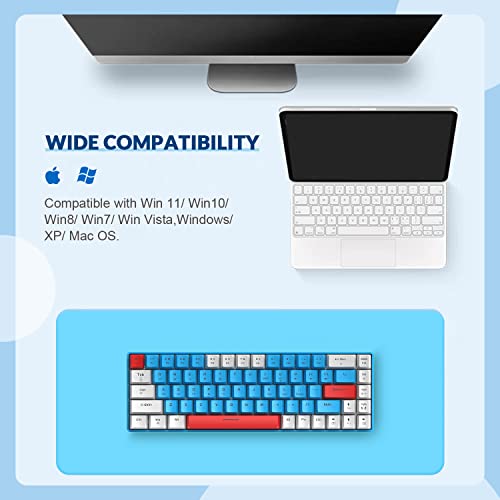 ZIYOU LANG Gaming Keyboard: 65% TKL Tactile Blue