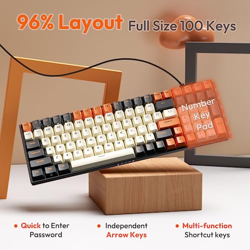 RK ROYAL KLUDGE RK100 Wireless Mechanical Keyboard (Red)