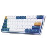 RK61 Plus Wireless Mechanical Keyboard, RGB Gaming 60%