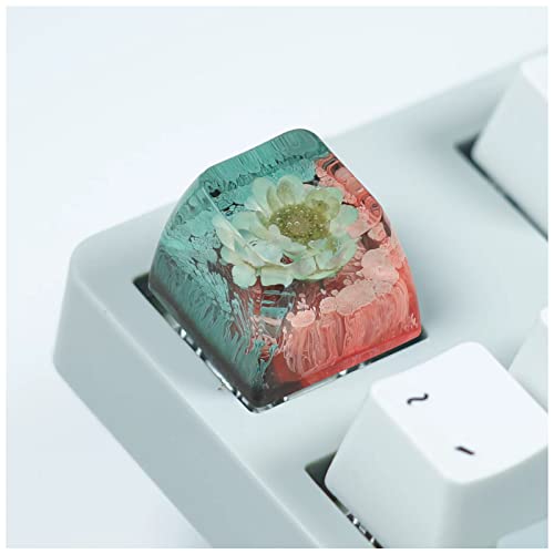 Pearlead SA R4 Backlit Keycap for Mechanical Keyboards