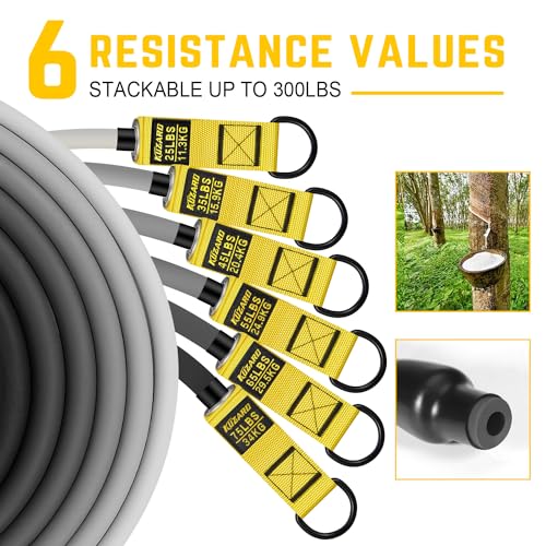 Strength Training Set: Heavy Resistance Bands for Men
