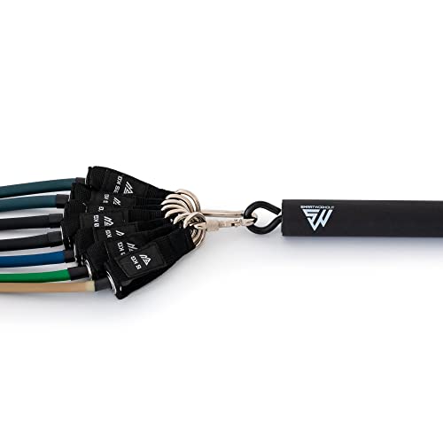 Adjustable Resistance Bands Set with Training Program and Bar