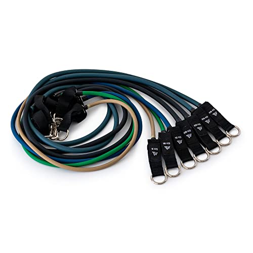 Adjustable Resistance Bands Set with Training Program and Bar