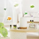 300ML Aromatherapy Diffuser with Essential Oils Set