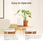 300ML Aromatherapy Diffuser with Essential Oils Set