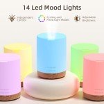 300ML Aromatherapy Diffuser with Essential Oils Set