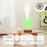 300ML Aromatherapy Diffuser with Essential Oils Set