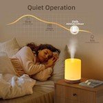 300ML Aromatherapy Diffuser with Essential Oils Set